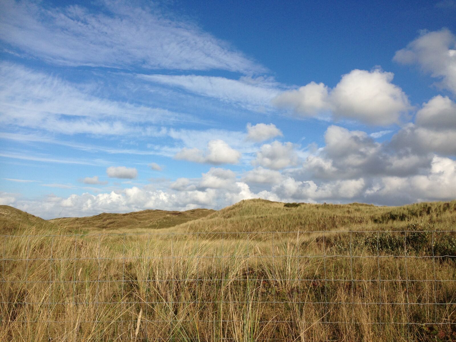 iPhone 5 back camera 4.12mm f/2.4 sample photo. Air, clouds, nature photography