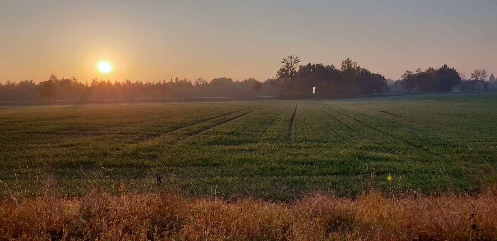 Samsung Galaxy S9+ sample photo. Landscape, east, field photography