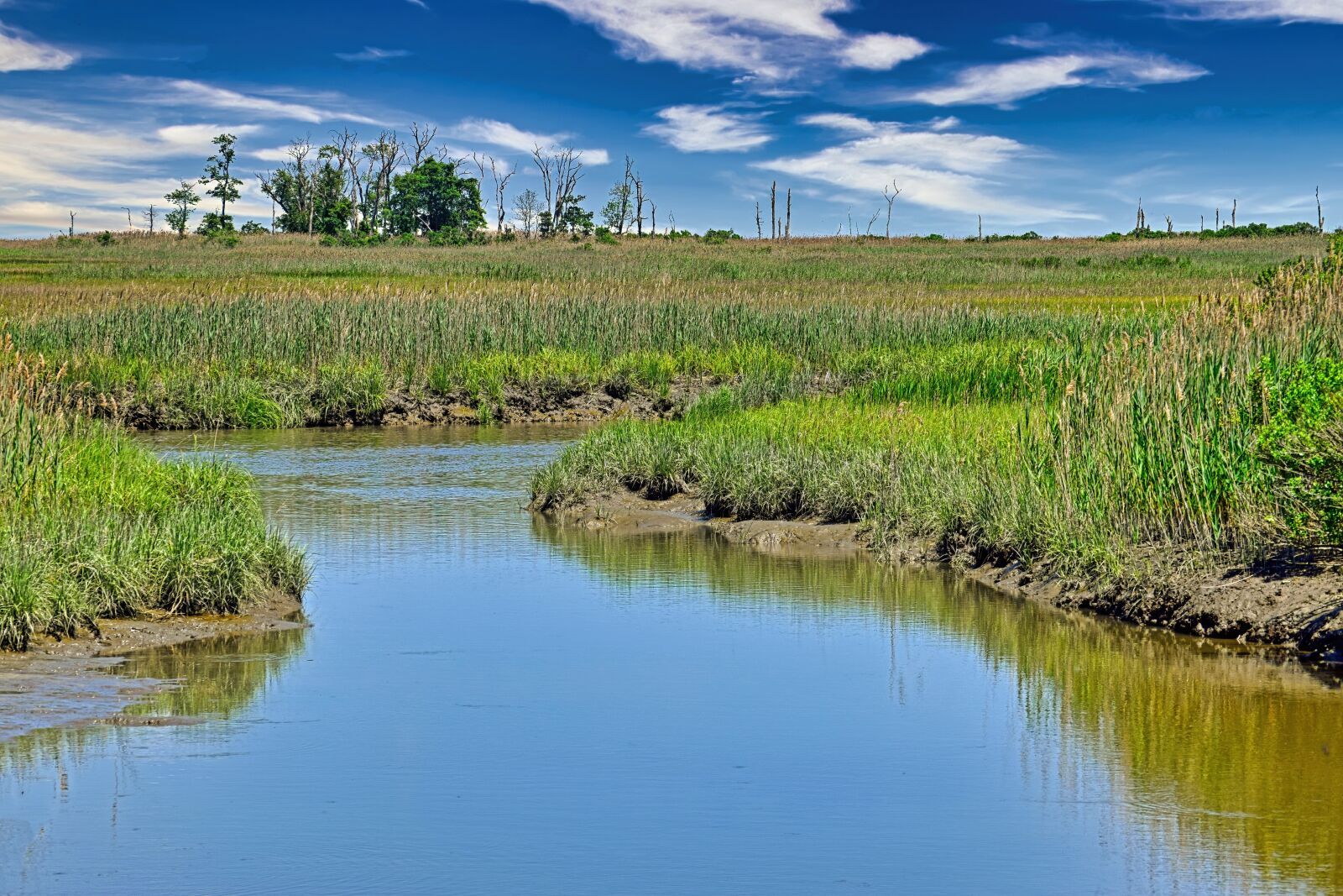 Nikon D3300 sample photo. Wetland, marsh, mud photography