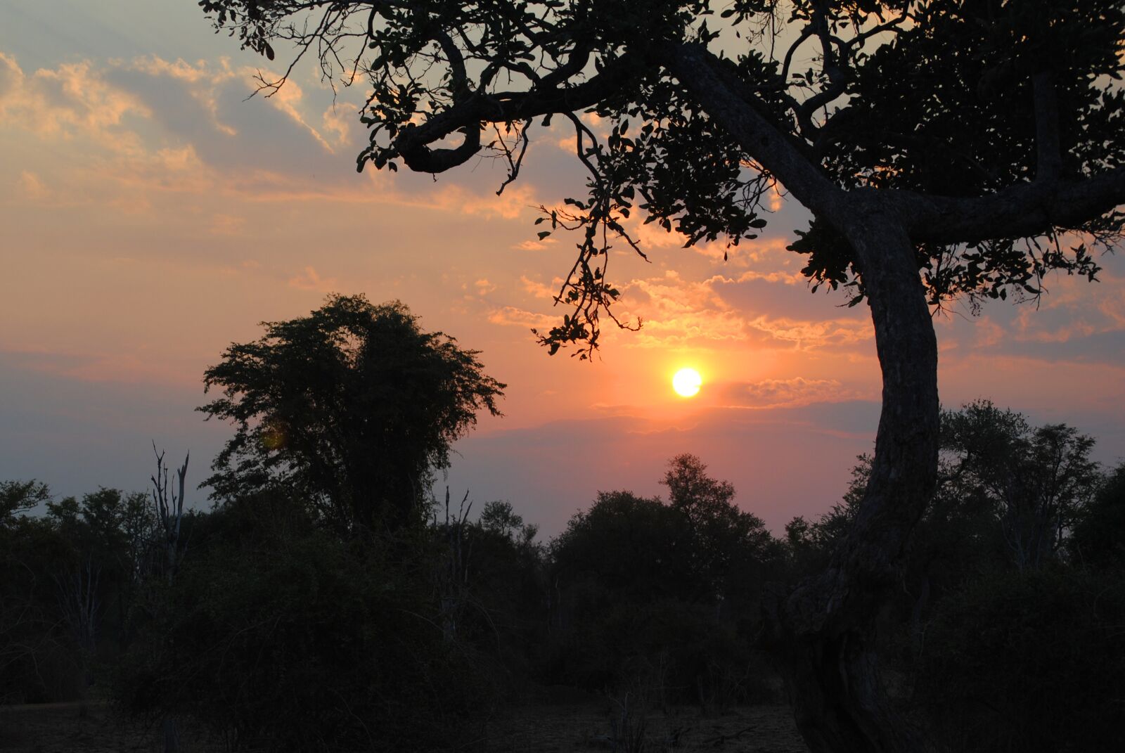 Nikon D3000 sample photo. Sunset, africa, safari photography