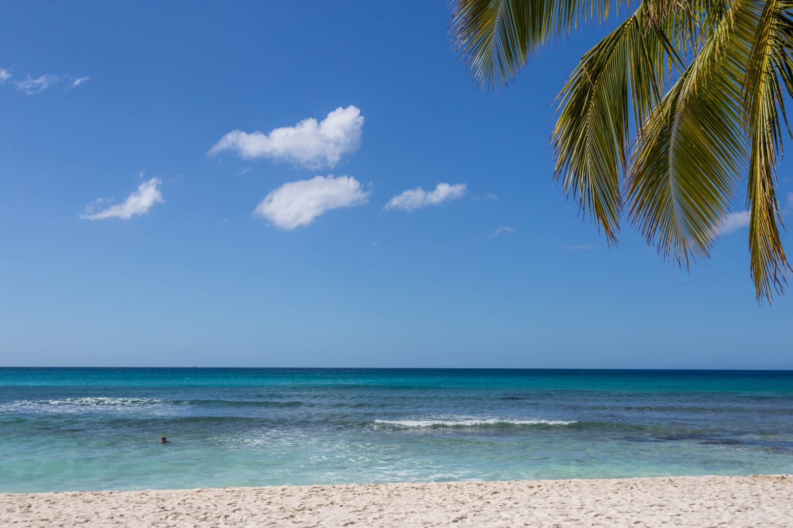 Canon EOS 6D + Canon EF 17-40mm F4L USM sample photo. Dominican republic, sargisova sea photography