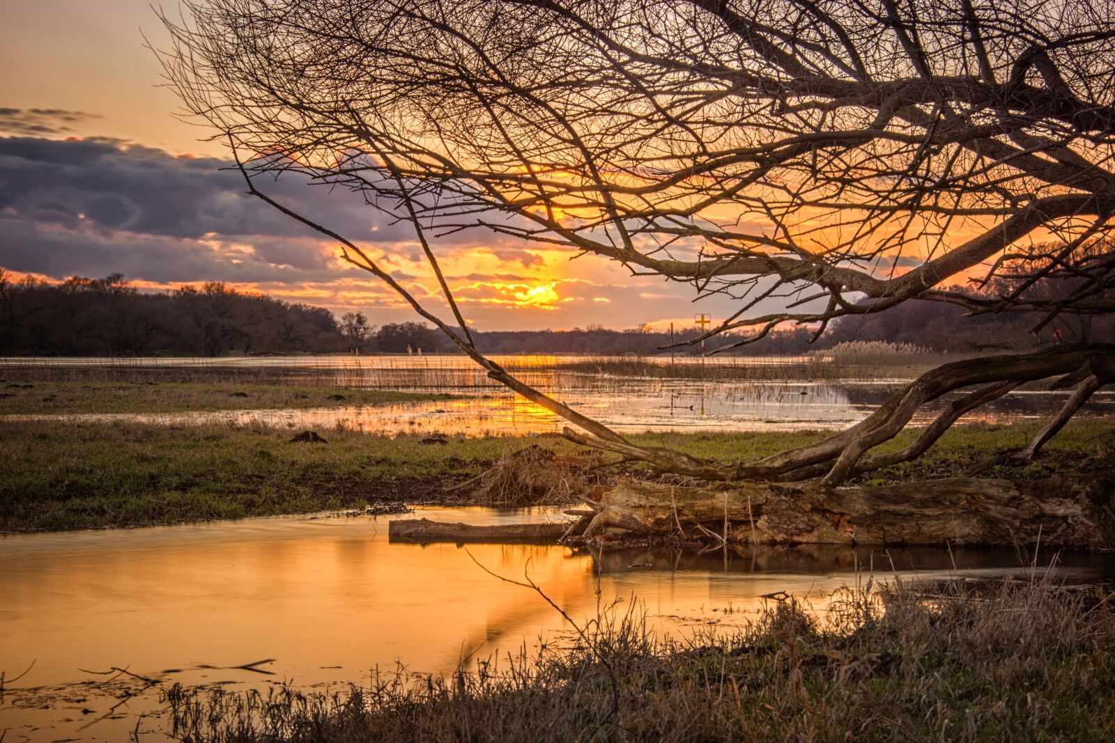 Nikon D7200 sample photo. Elbe, high water, sunset photography