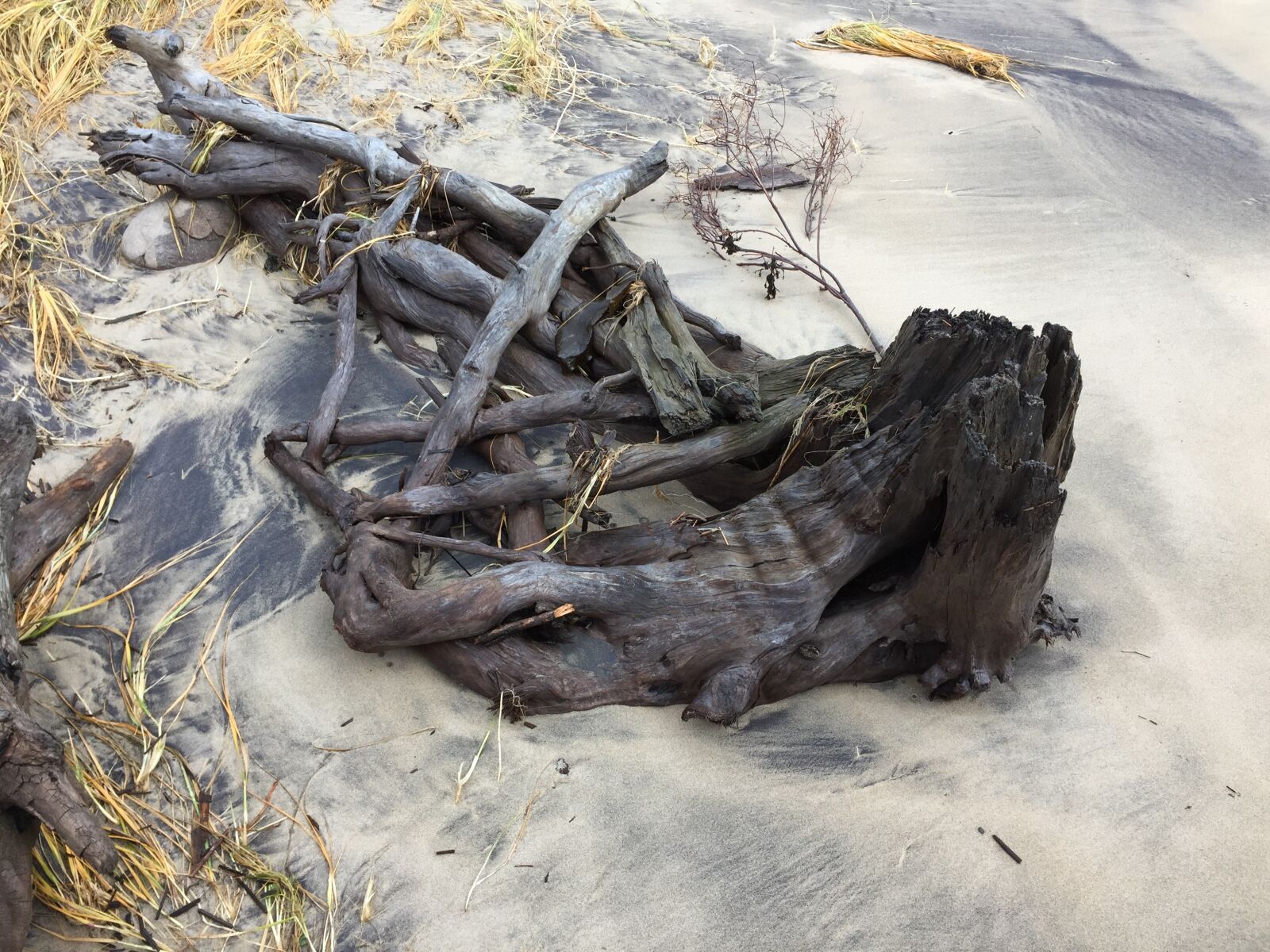 Apple iPhone 6 sample photo. Wood, fire, sand photography