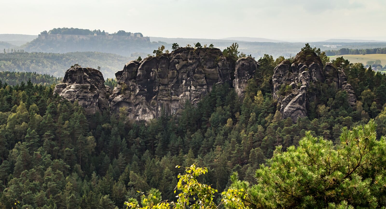 Canon EOS 80D sample photo. Saxon switzerland, elbe, rock photography