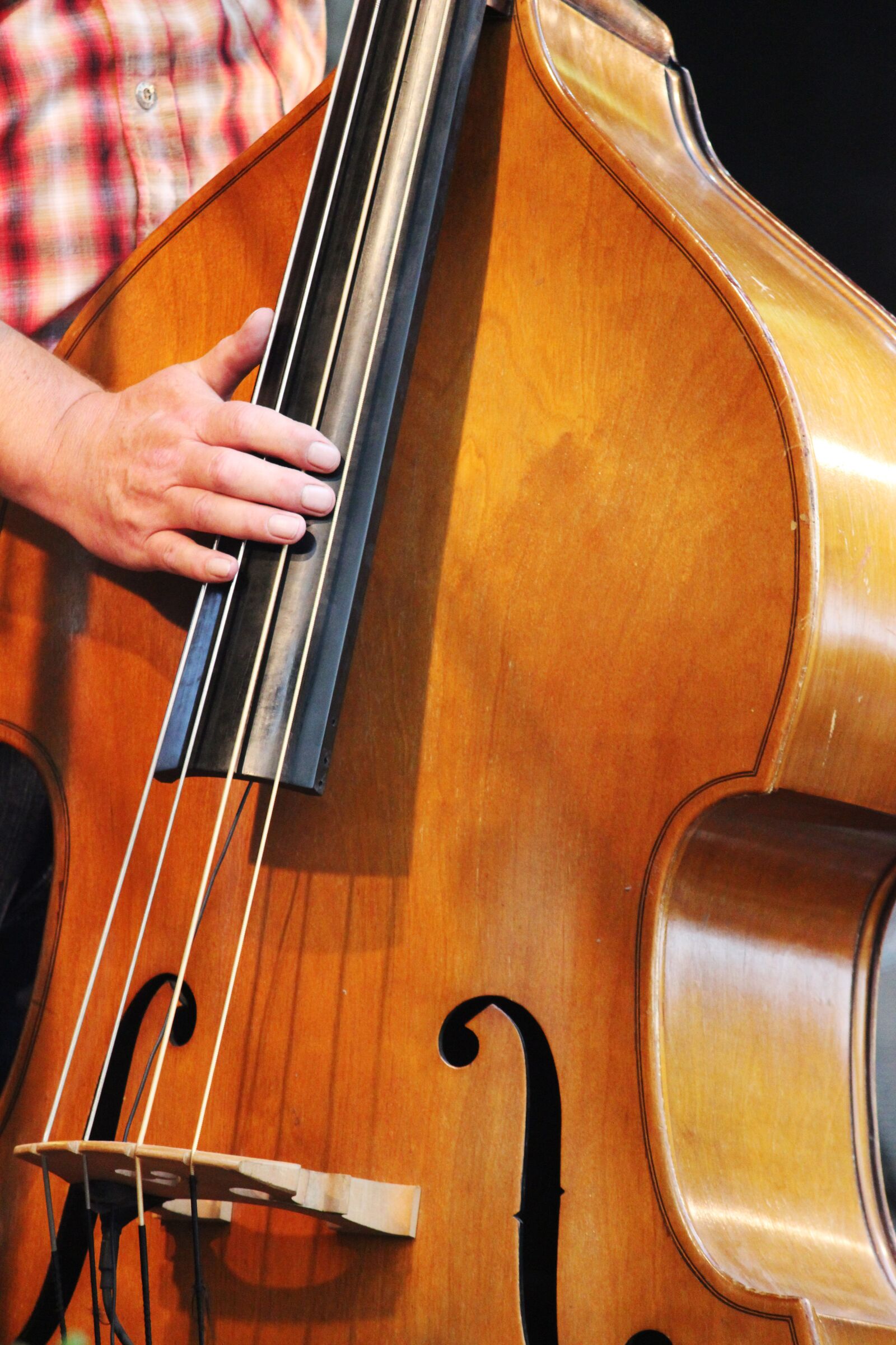 Canon EOS 600D (Rebel EOS T3i / EOS Kiss X5) sample photo. Musician, instrument, double bass photography