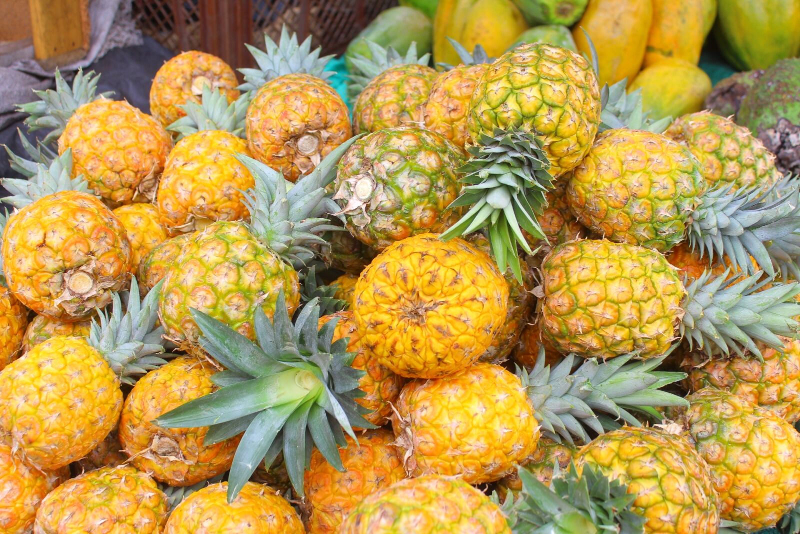 Canon EOS 650D (EOS Rebel T4i / EOS Kiss X6i) sample photo. Pineapple, gallery, fruit photography
