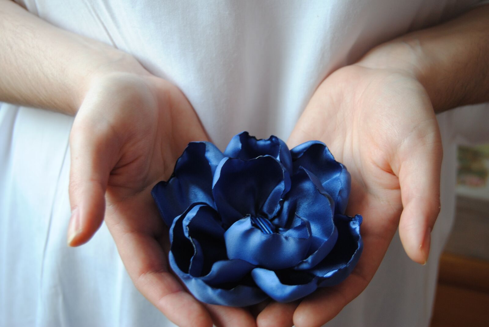 Nikon D3000 sample photo. The hand, woman, man photography