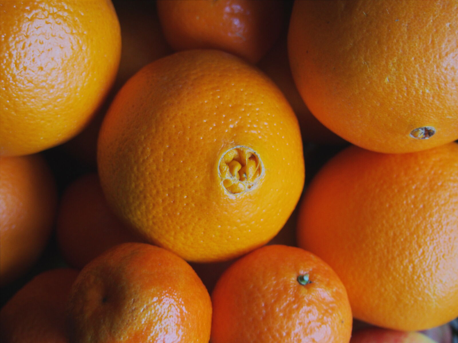 Olympus PEN E-PL5 sample photo. Citrus, food, fruit, fruits photography