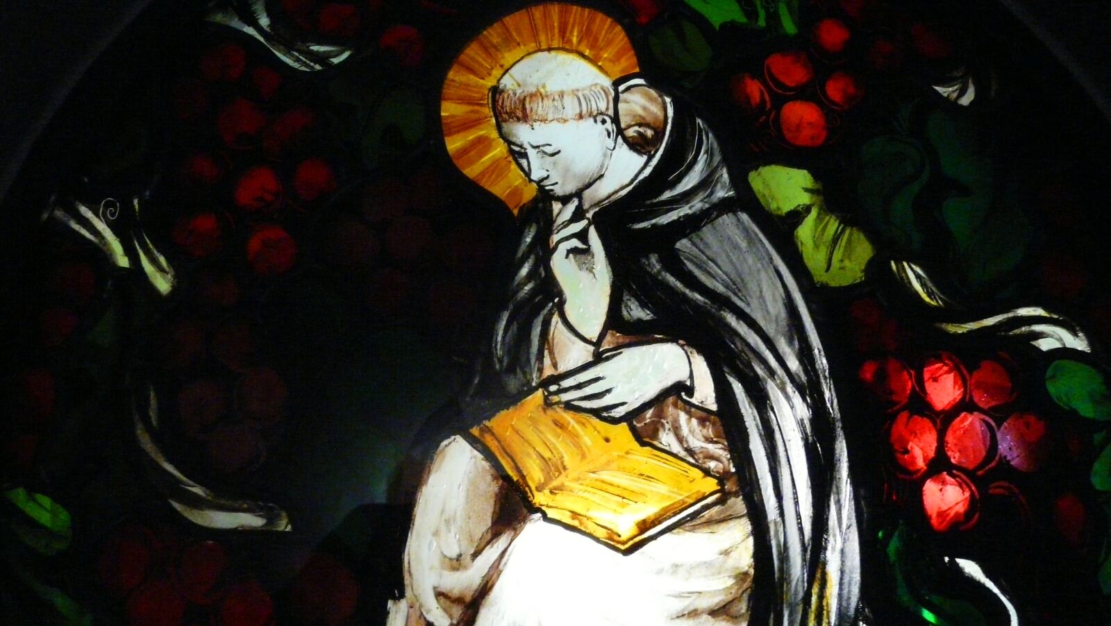 Panasonic DMC-FZ18 sample photo. Stained glass window, dominicans photography