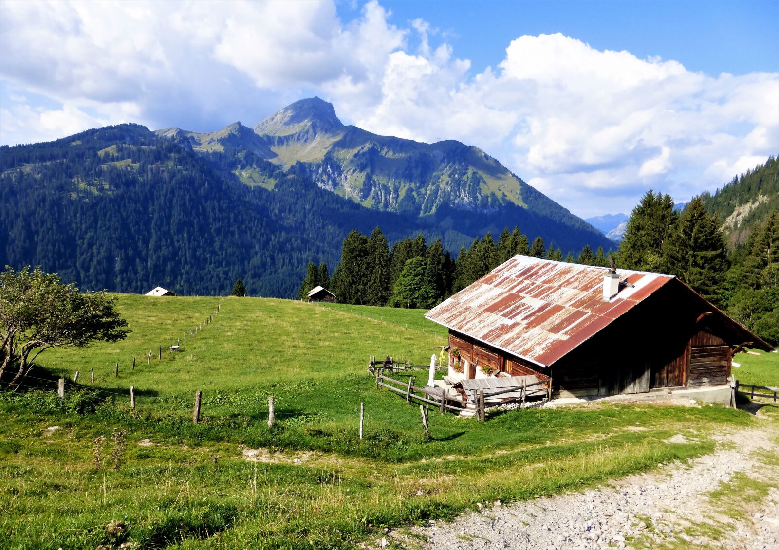 Panasonic Lumix DMC-ZS25 (Lumix DMC-TZ35) sample photo. Nature, france, alps photography
