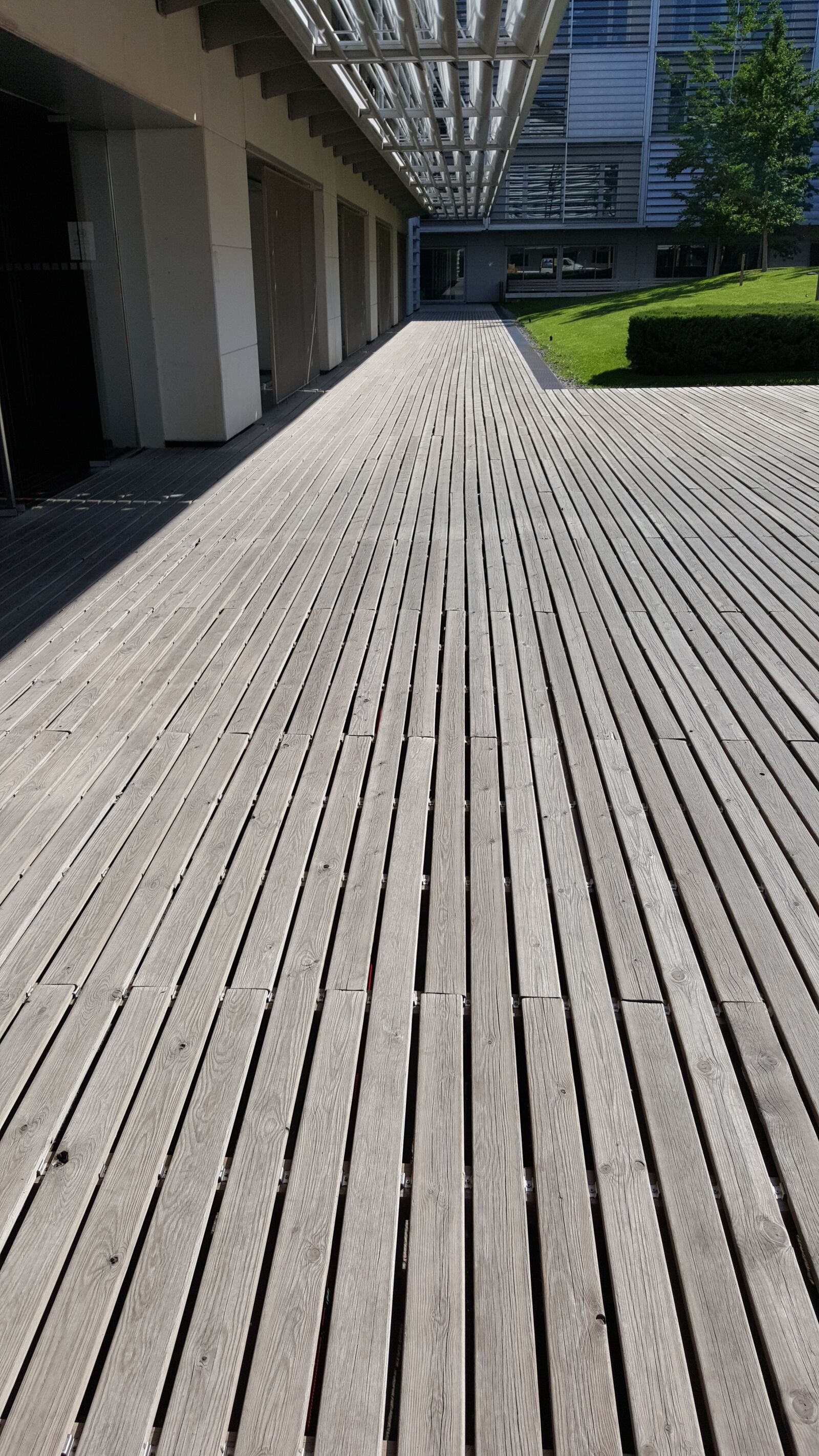 Samsung GALAXY S6 edge sample photo. Soil, wood, recovery photography