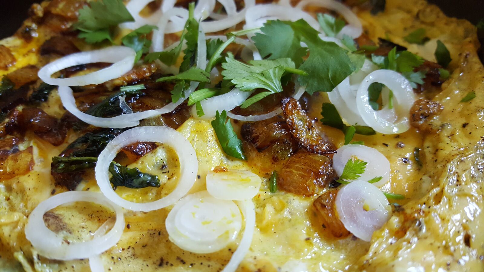 Samsung Galaxy Note5 sample photo. Food, onion slices, coriander photography