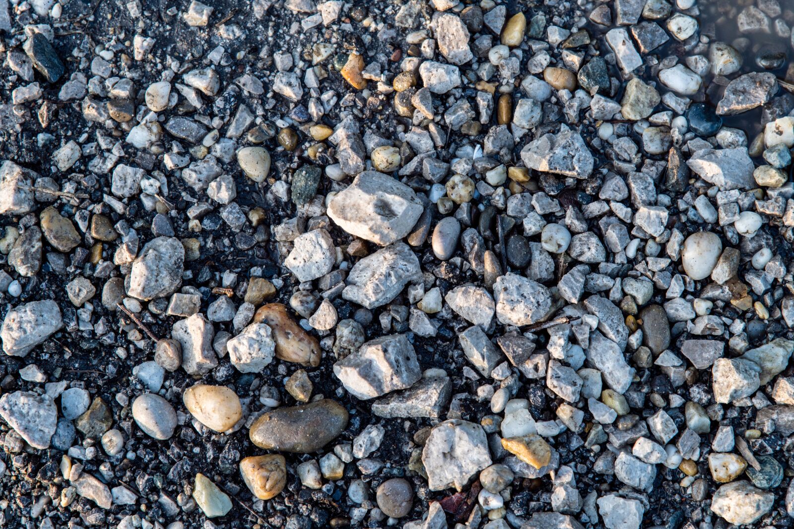 Nikon D850 sample photo. Nature, stones, texture photography