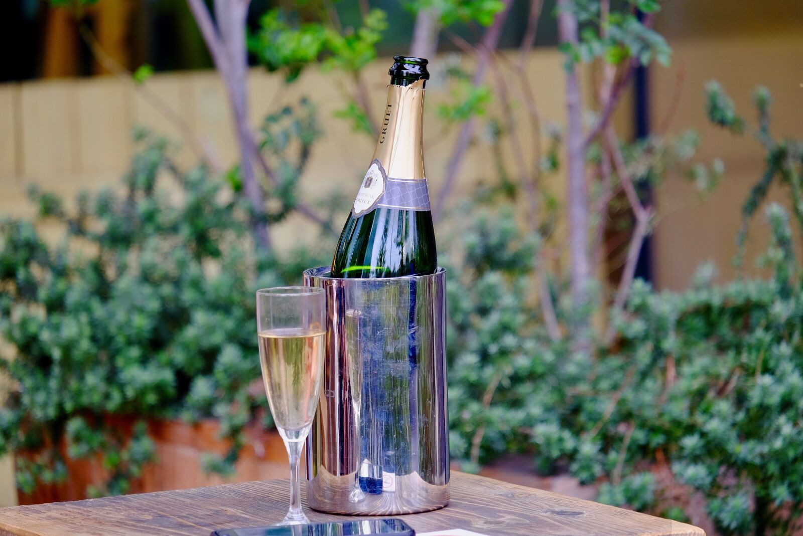 Fujifilm X-T10 sample photo. Wine, sparkling, outdoor photography