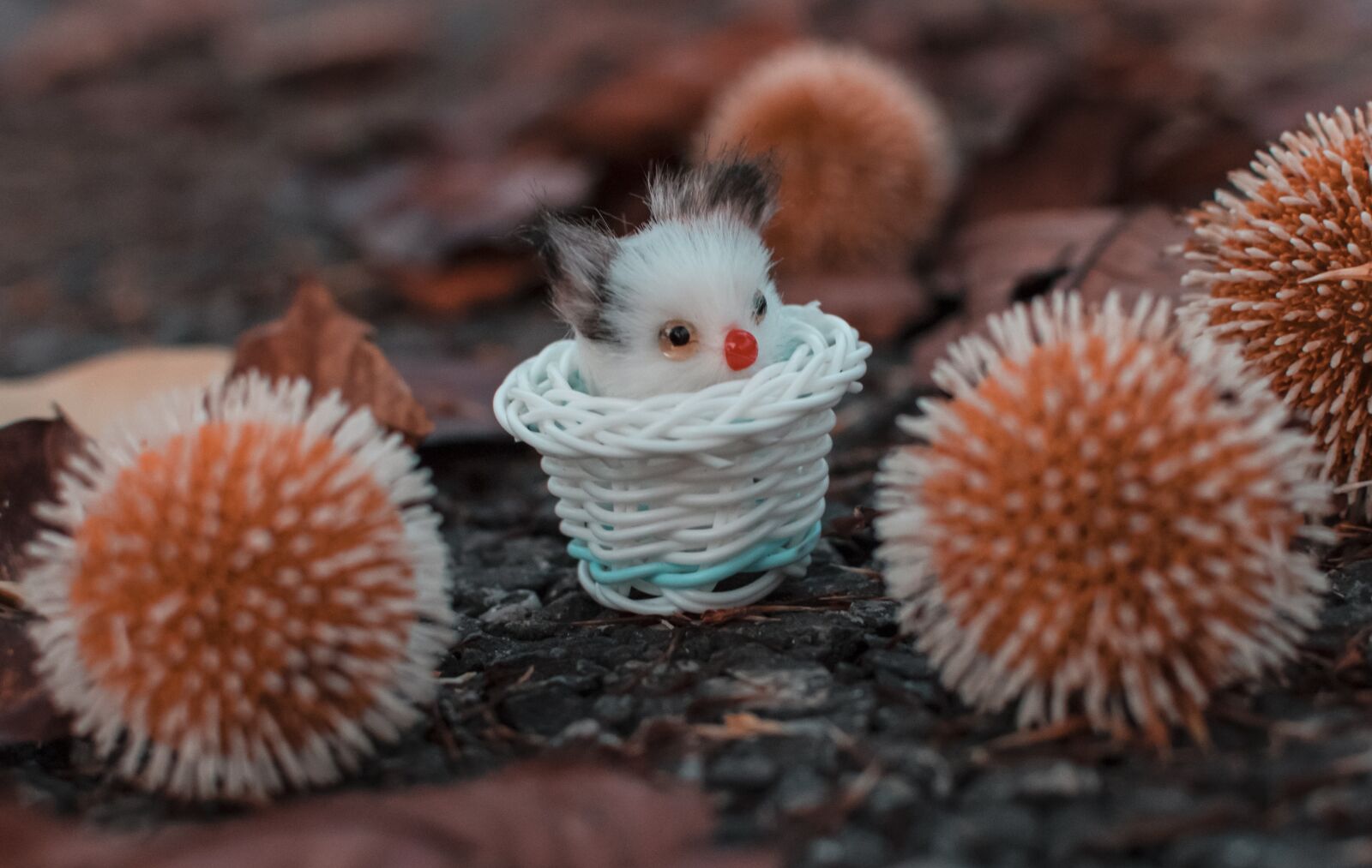 Nikon D3300 sample photo. Background, toy, decor photography