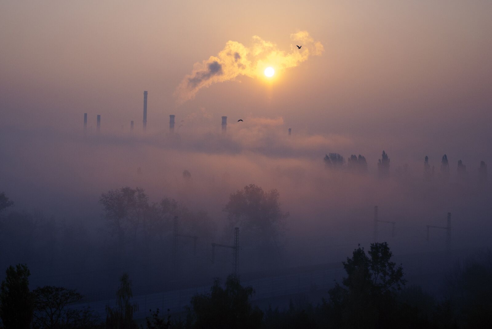 Nikon D80 sample photo. Factory, sunrise, fog photography