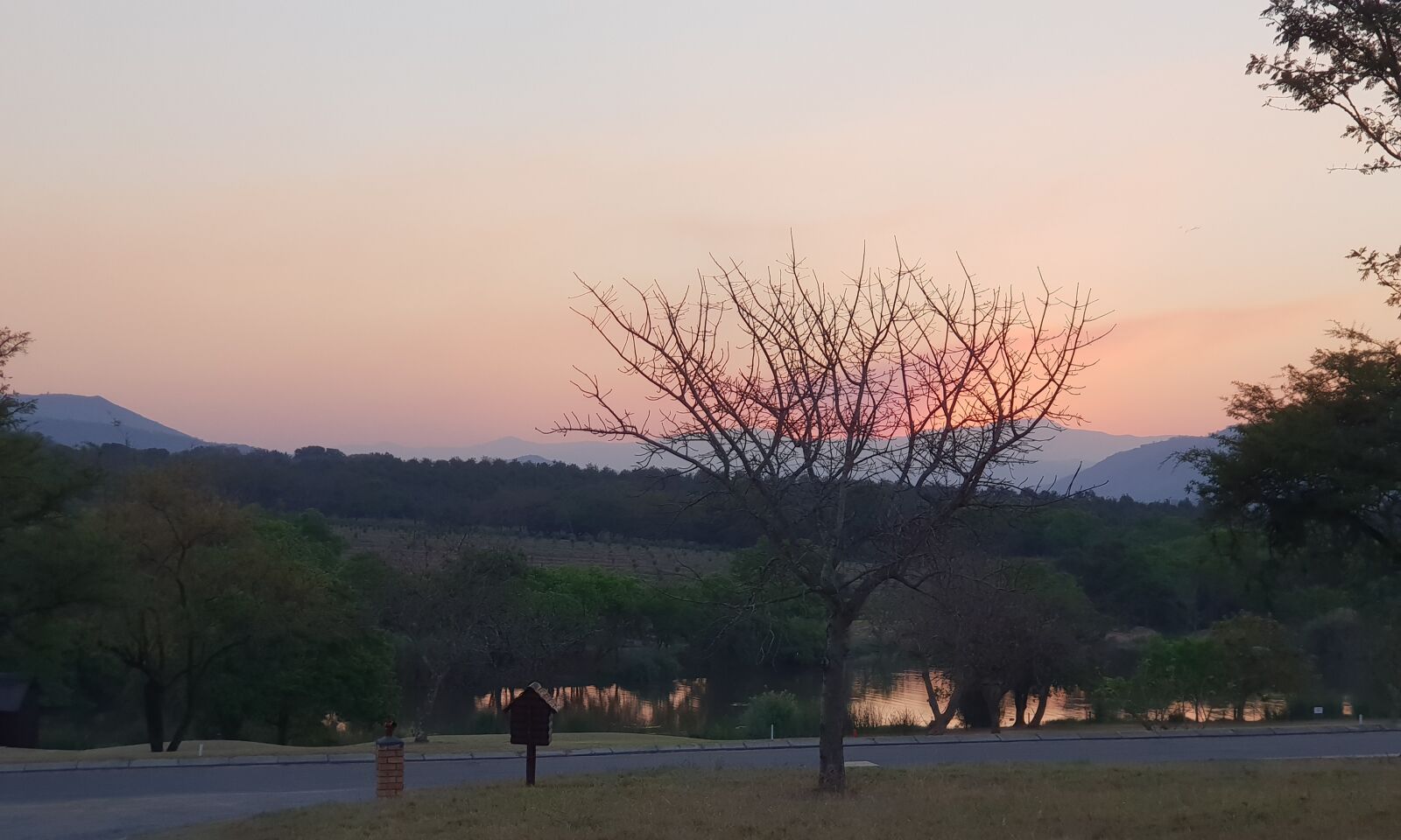 Samsung Galaxy S9+ sample photo. Tree, sunset, south africa photography