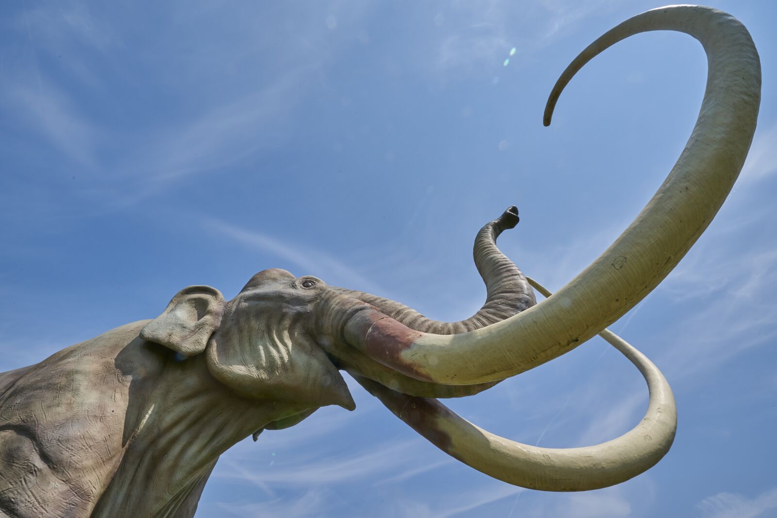 Sony a7 III sample photo. Mammoth, extinct, tusk photography