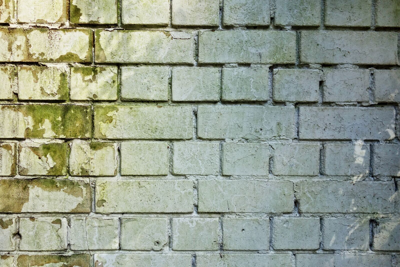Sony Cyber-shot DSC-RX100 sample photo. Brick wall, wall, brickwork photography