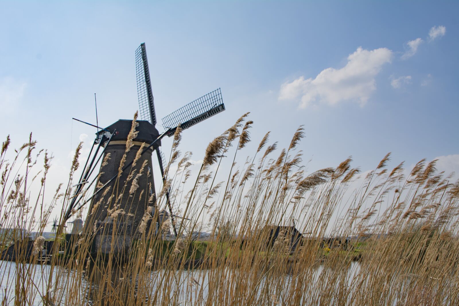 Nikon D5200 sample photo. Holland, mill, windmill photography