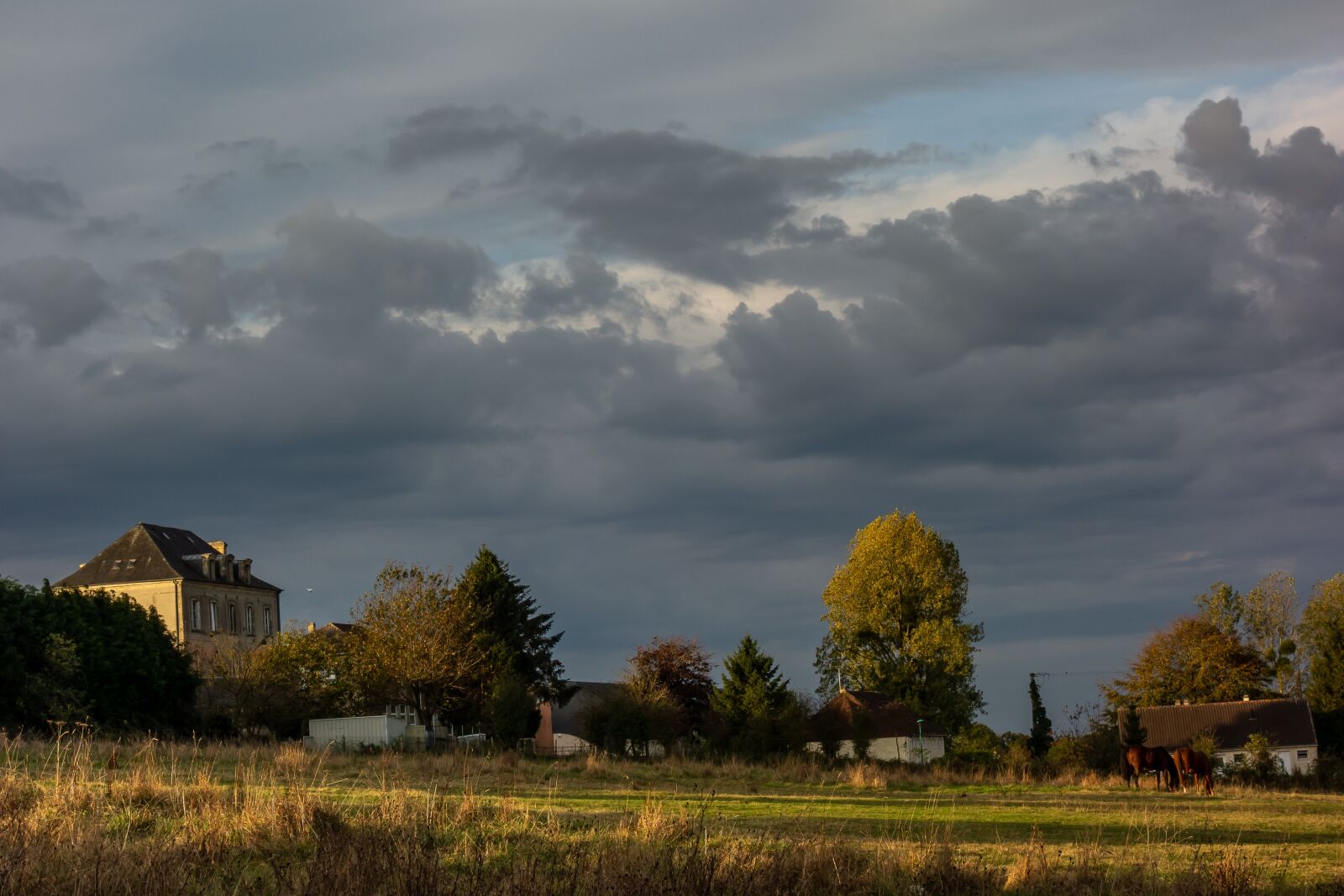 Sony Cyber-shot DSC-RX100 sample photo. Landscape, france, normandy photography
