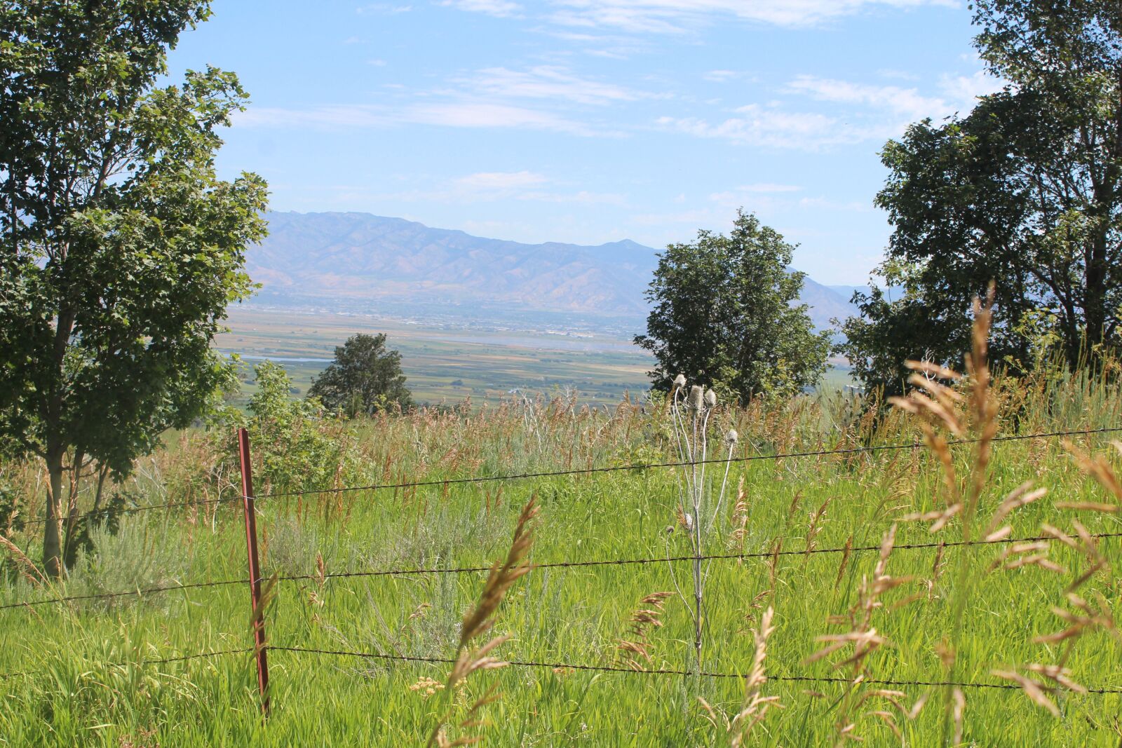 Canon EOS 1300D (EOS Rebel T6 / EOS Kiss X80) sample photo. Mountain view, cache valley photography