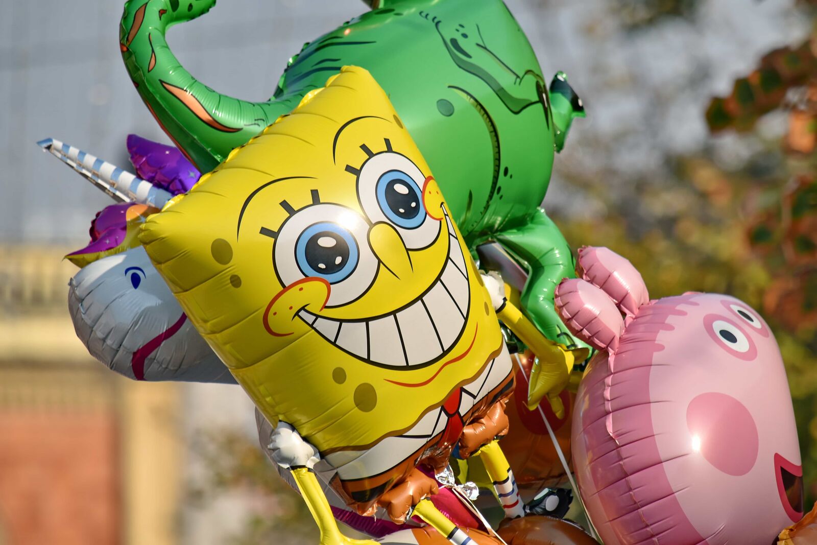 Nikon D5500 sample photo. Balloon, carnival, festival, helium photography
