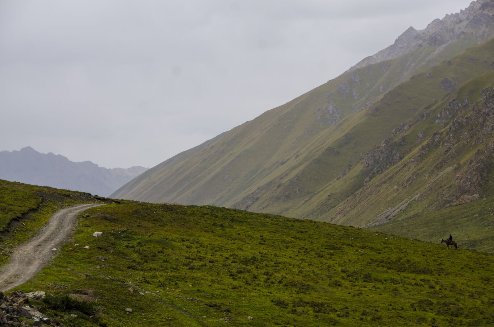 Nikon D7000 sample photo. Prairie, alpine, road photography