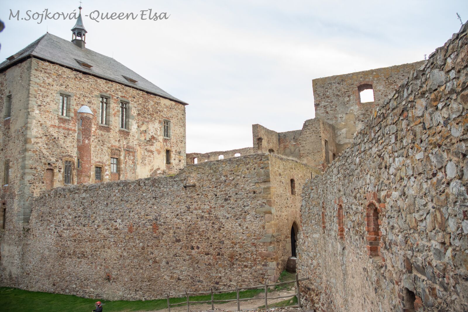 Nikon D7200 sample photo. Tocnik, castle, ruins photography