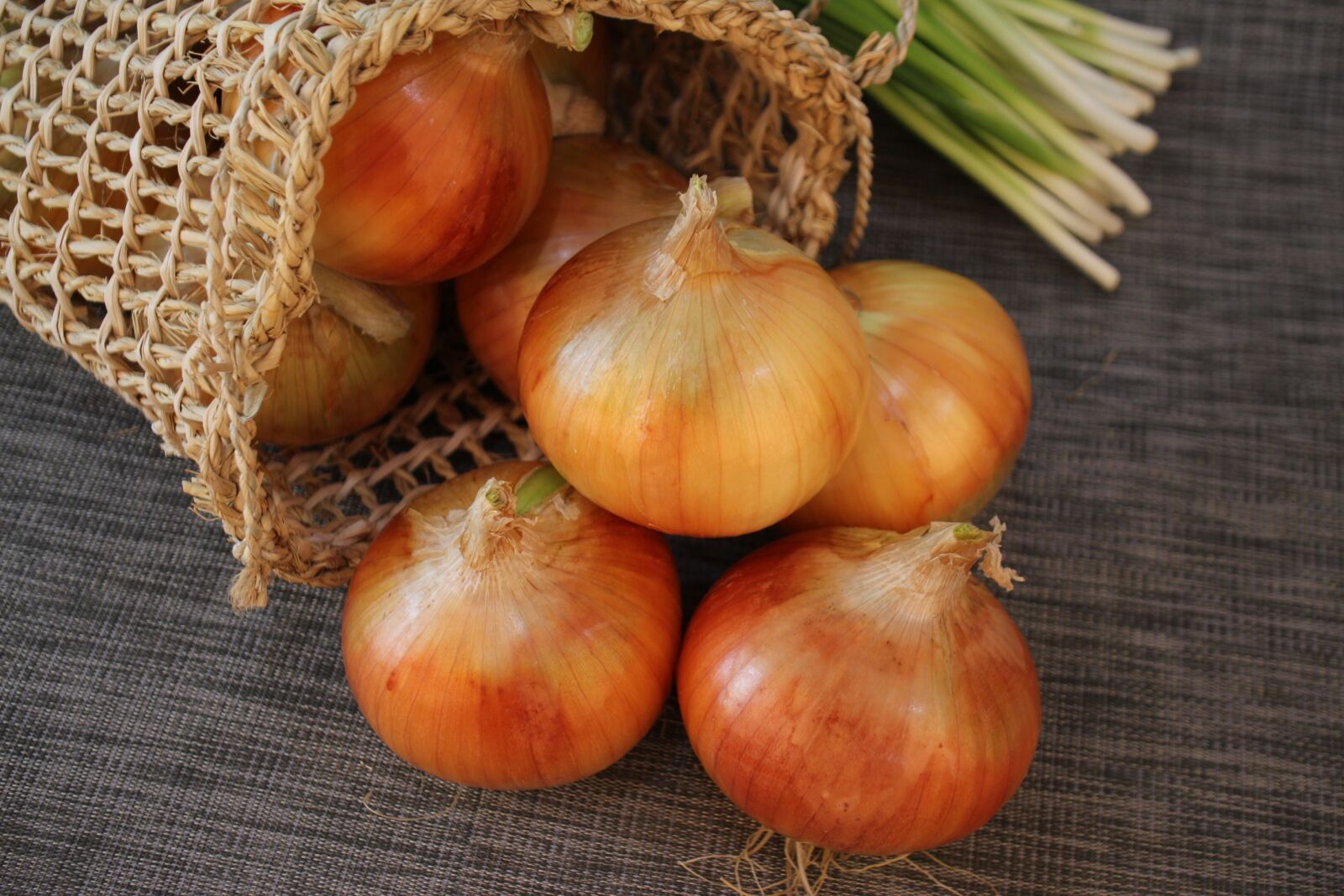 Canon EOS 650D (EOS Rebel T4i / EOS Kiss X6i) sample photo. Onion, wave, hope photography