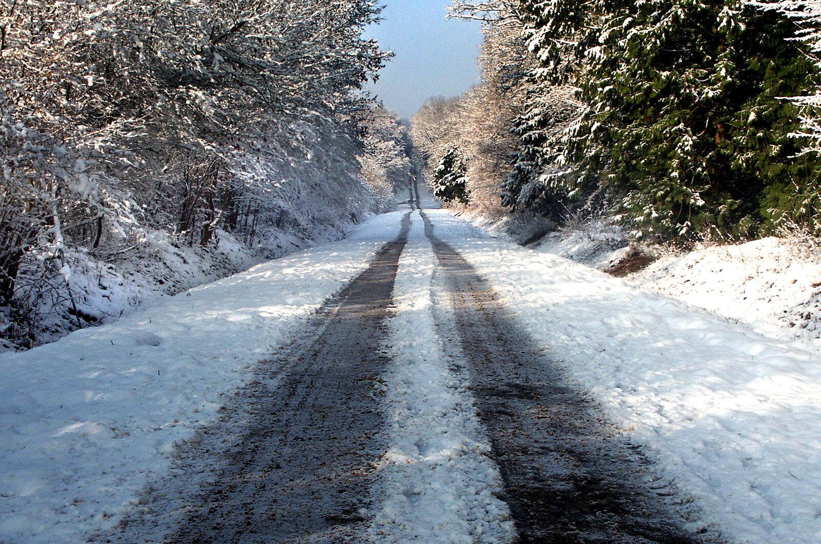 KONICA MINOLTA DiMAGE 7i sample photo. Path, winter, snow photography