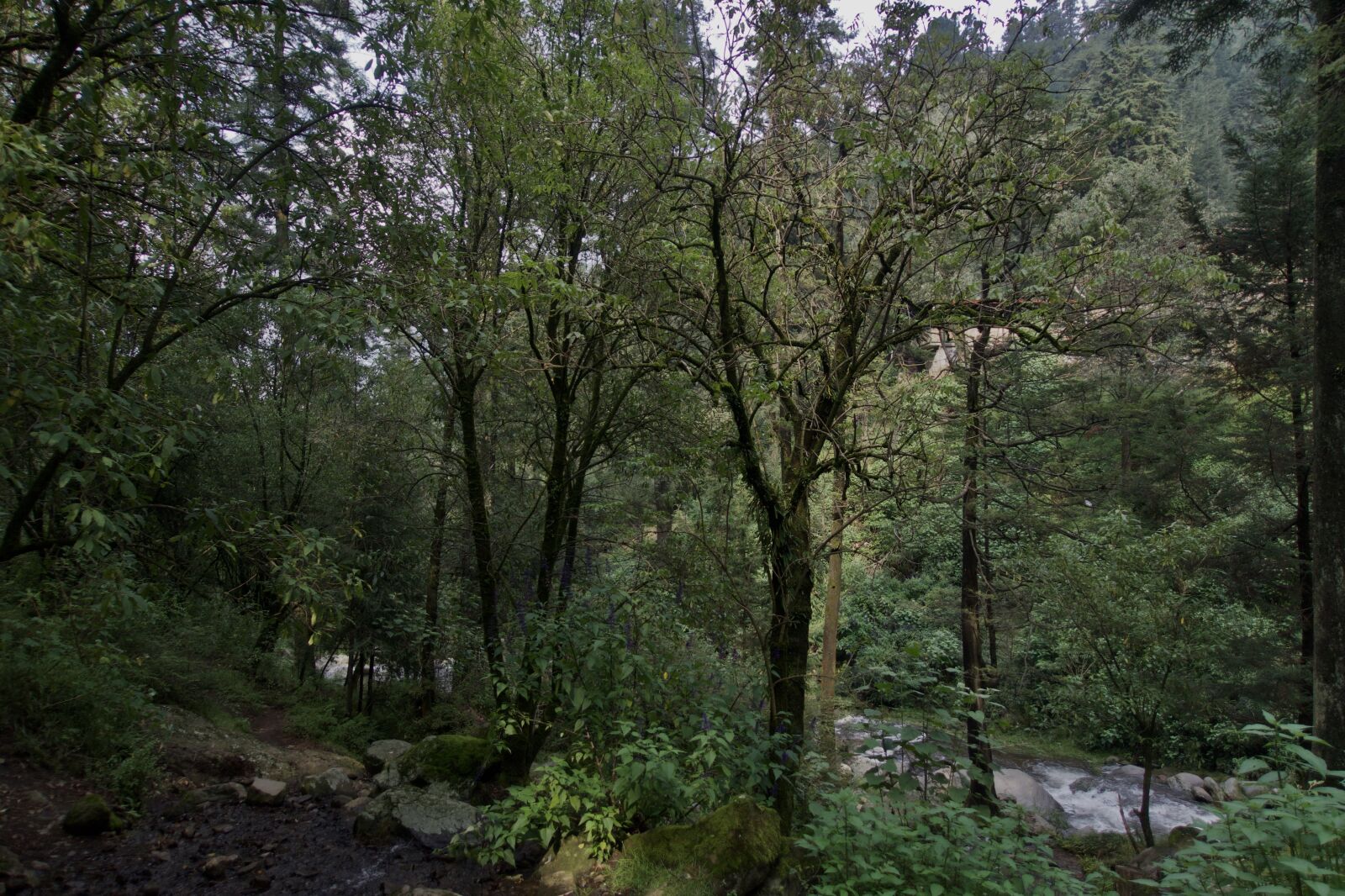 Sony DSC-RX100M5A sample photo. Landscape, river, nature photography