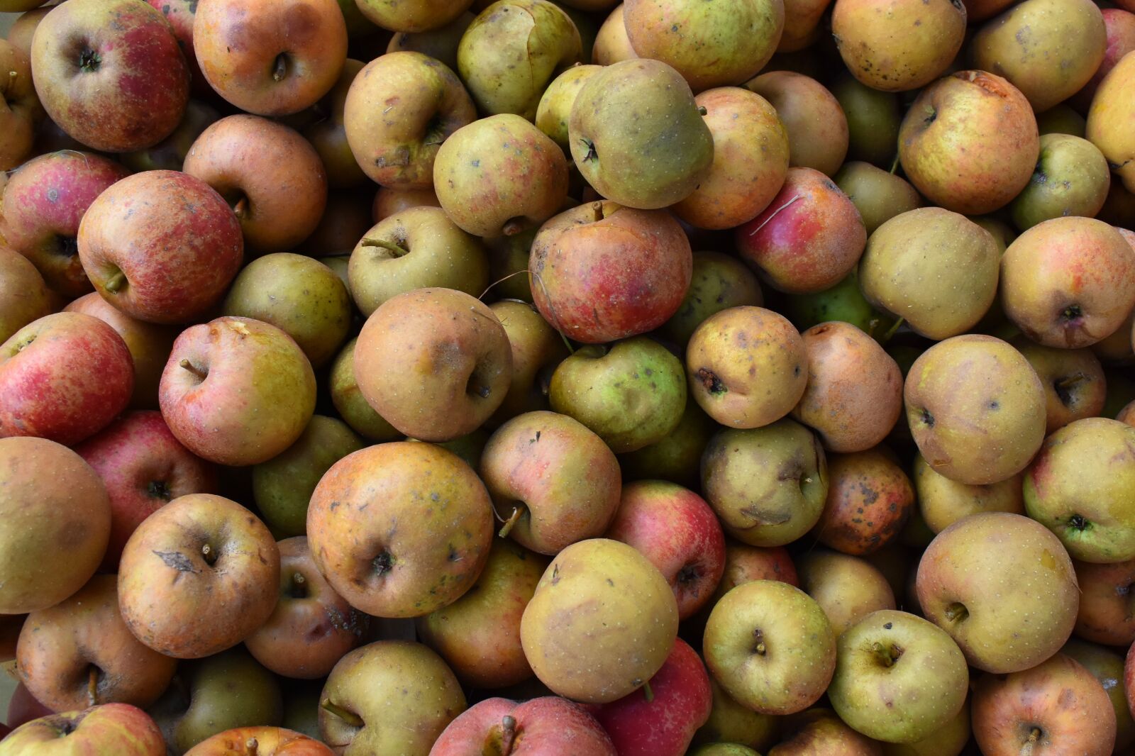Nikon D7200 sample photo. Apples, fruit, food photography