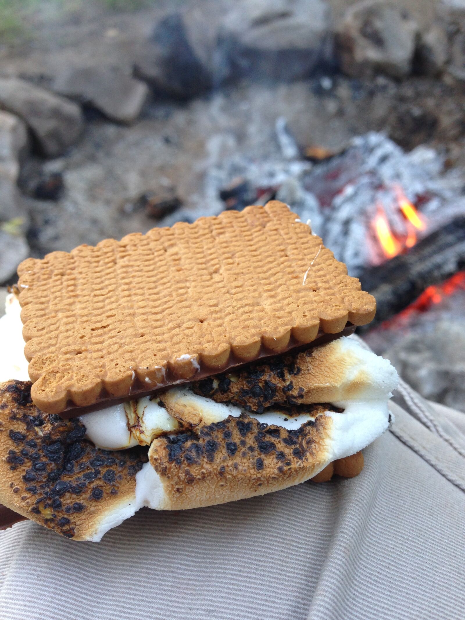 iPhone 5 back camera 4.12mm f/2.4 sample photo. Smores, marshmallow, camping photography