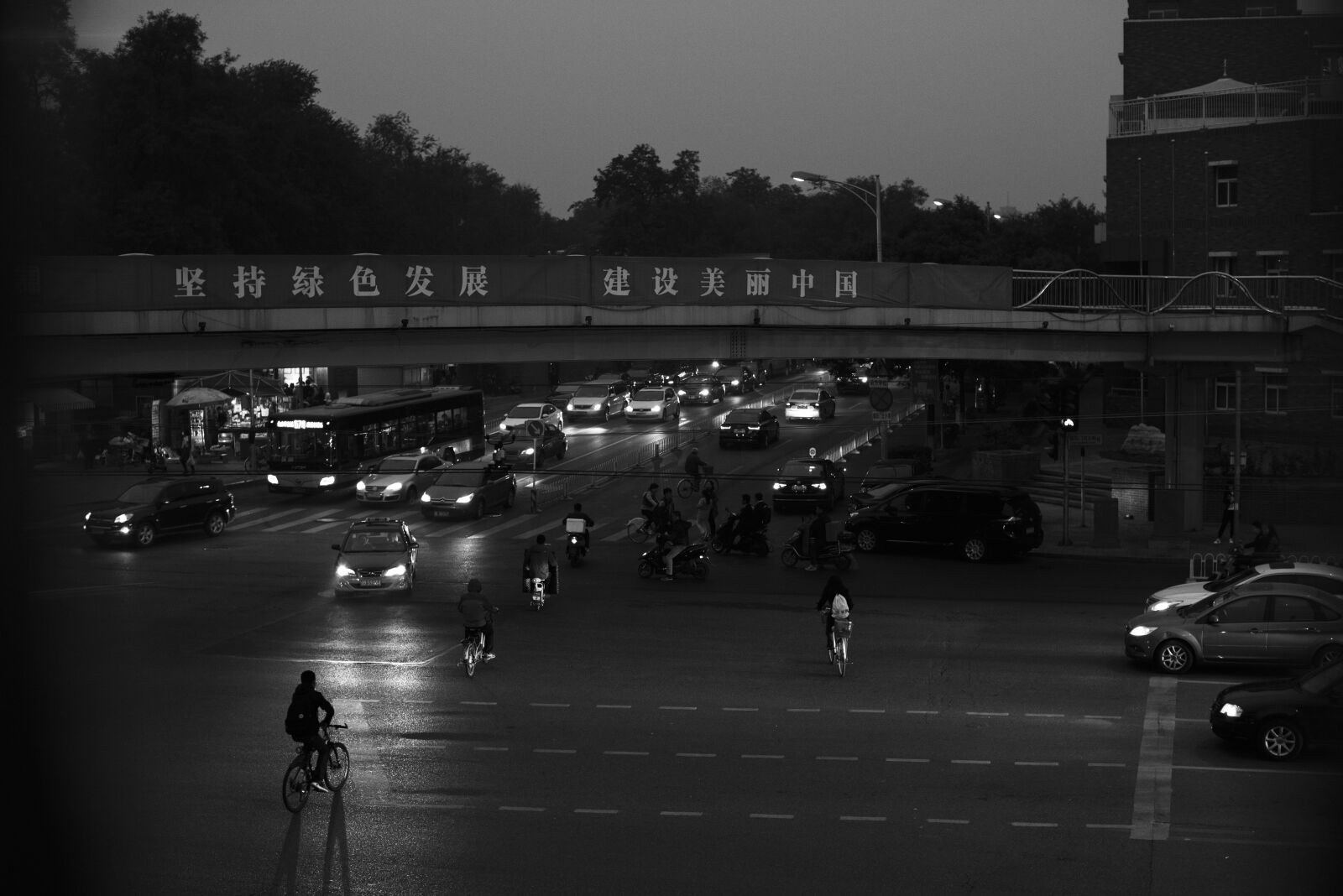 Nikon D810 sample photo. Beijing, street, a harmonious photography