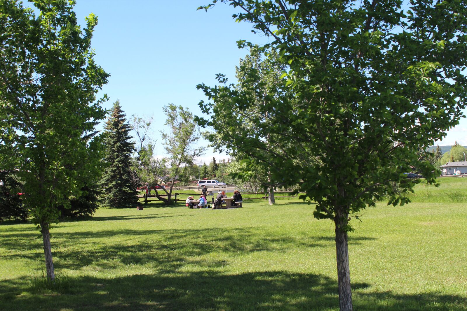 Canon EOS 1300D (EOS Rebel T6 / EOS Kiss X80) sample photo. Park, trees, picnic photography