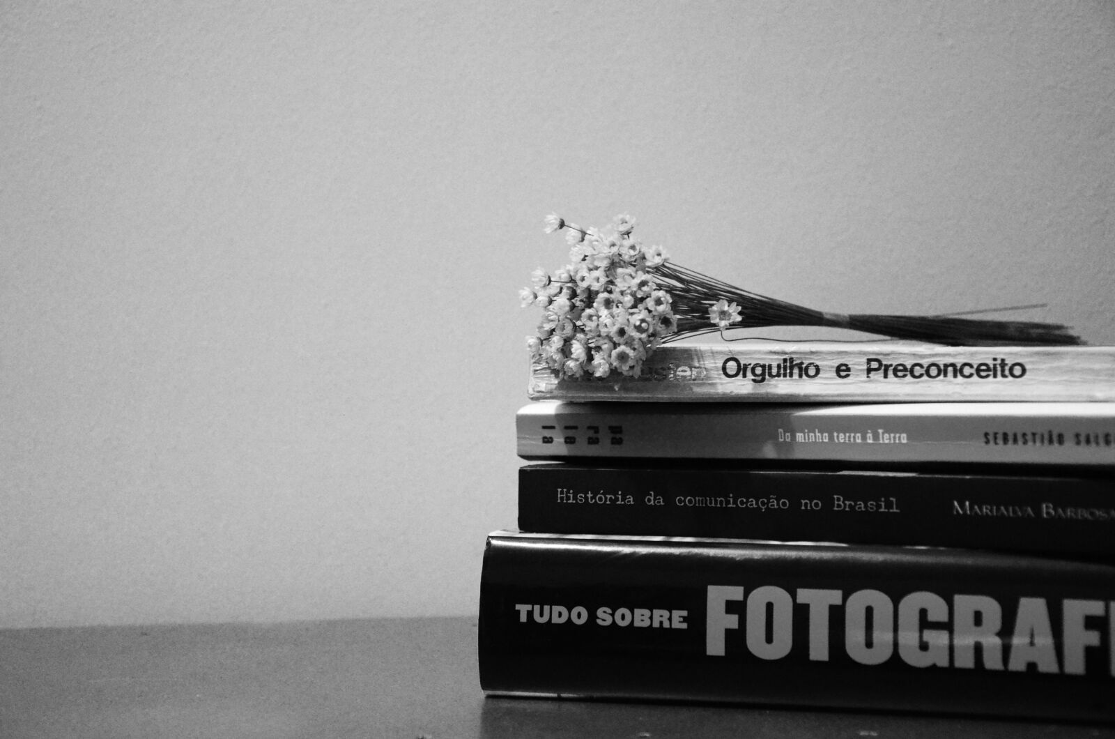 Nikon D7000 sample photo. Books, literature, flowers photography