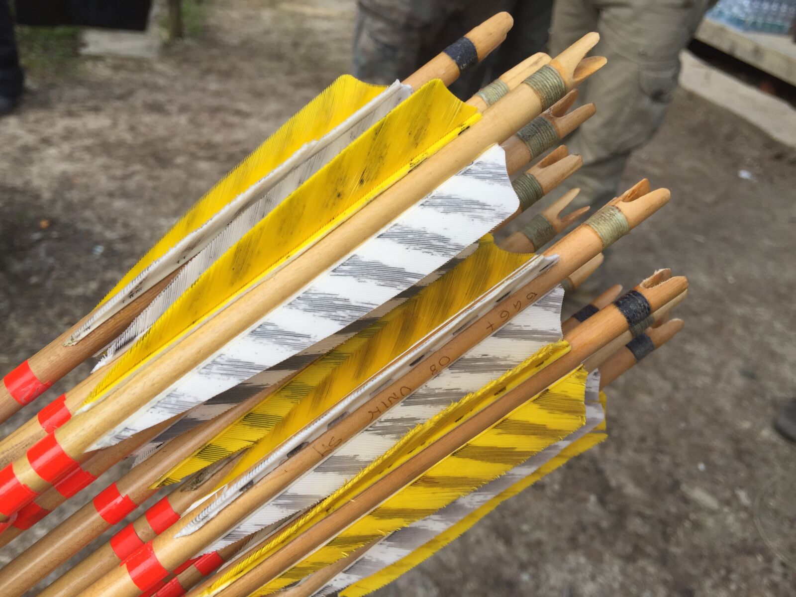 iPhone 6 Plus back camera 4.15mm f/2.2 sample photo. Archery, arrows photography