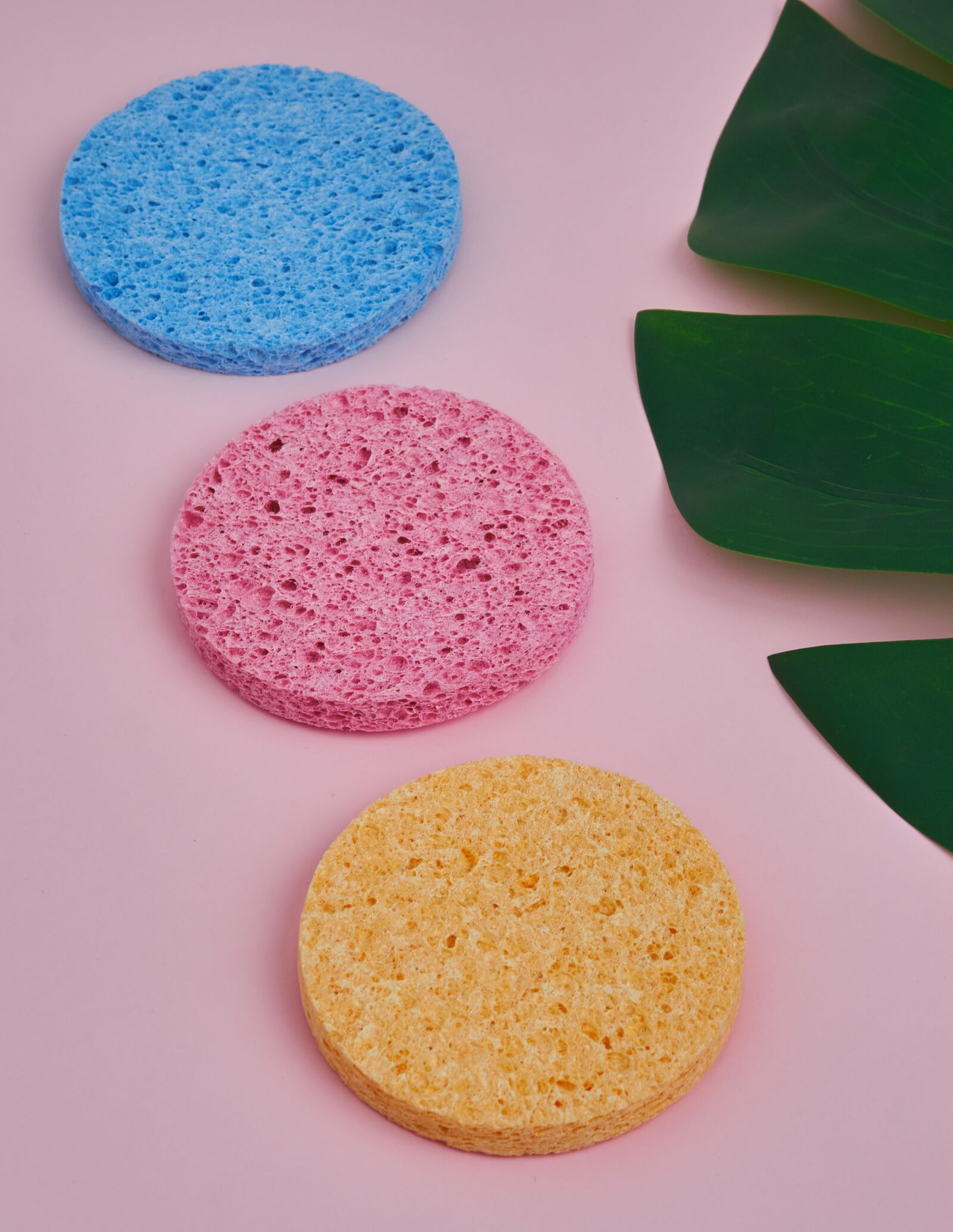 Sony Sonnar T* FE 55mm F1.8 ZA sample photo. Sponge, colors, colorful photography