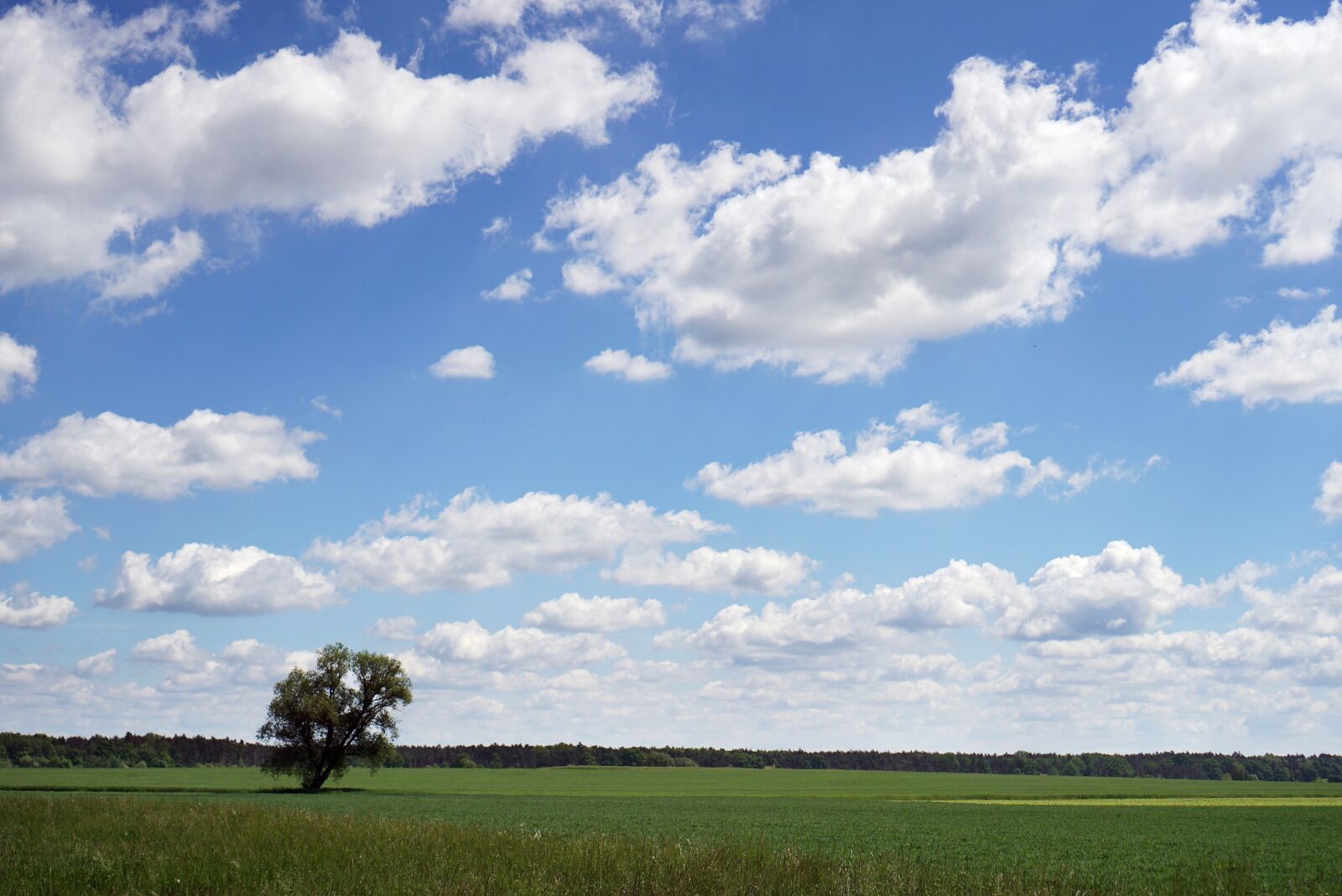 Sony a6000 + Sony E 35mm F1.8 OSS sample photo. Clouds, space, landscape photography