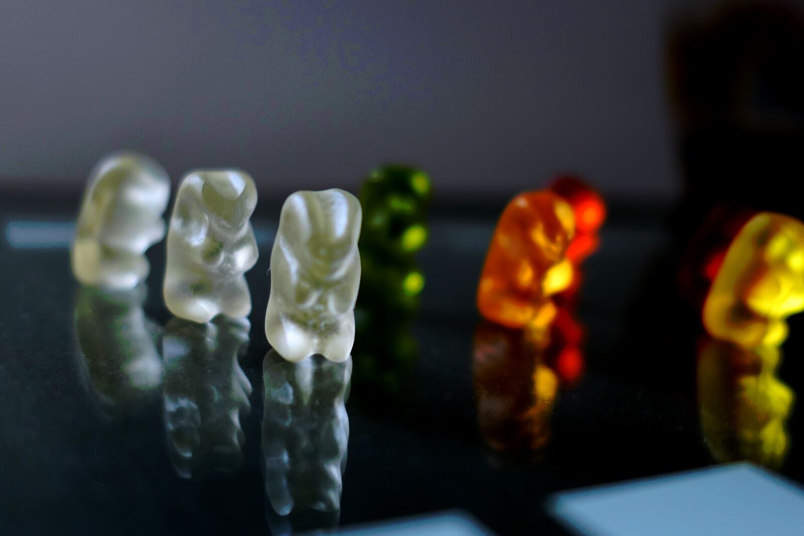 Panasonic Lumix DMC-LX10 (Lumix DMC-LX15) sample photo. Bears, colorful, eat photography