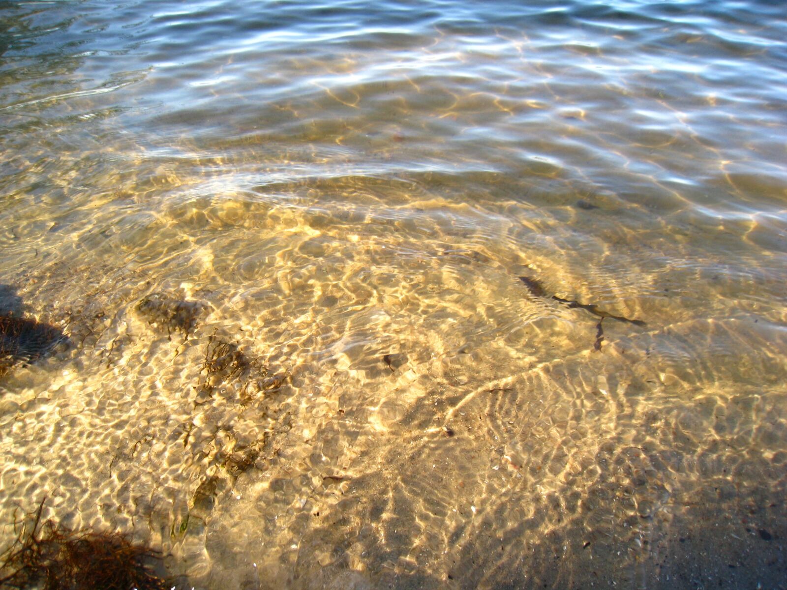 Canon DIGITAL IXUS 860 IS sample photo. Water, sea, seawater photography