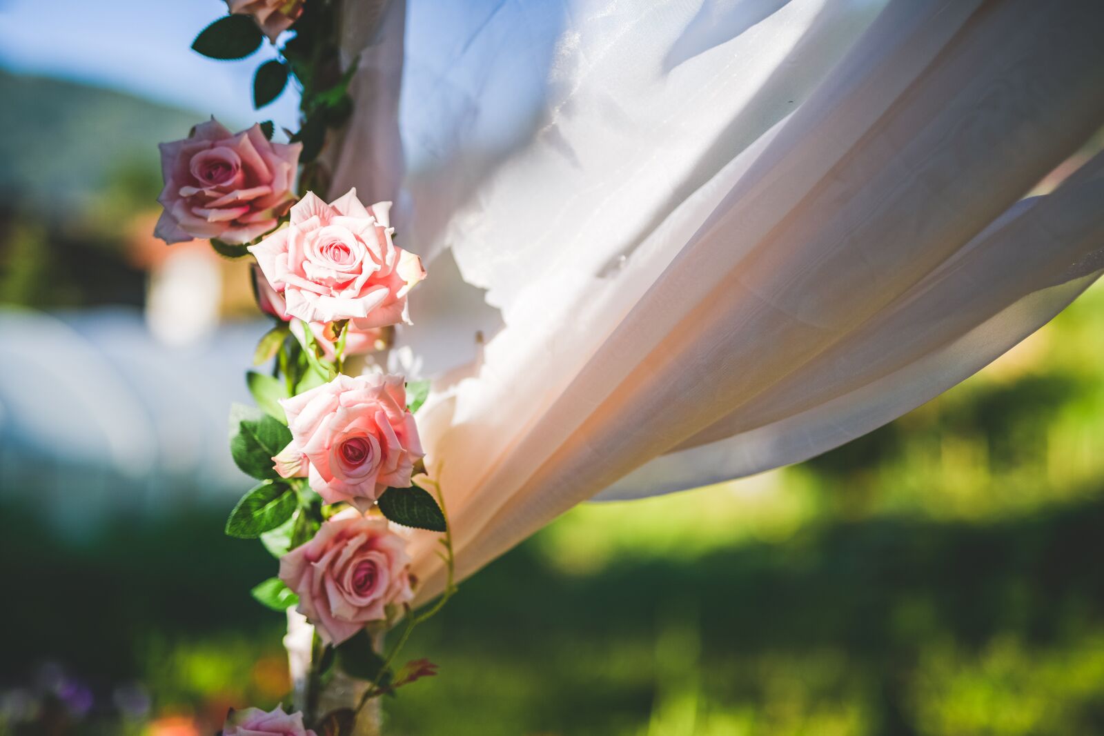 Nikon D850 sample photo. Bube, kika, wedding photography