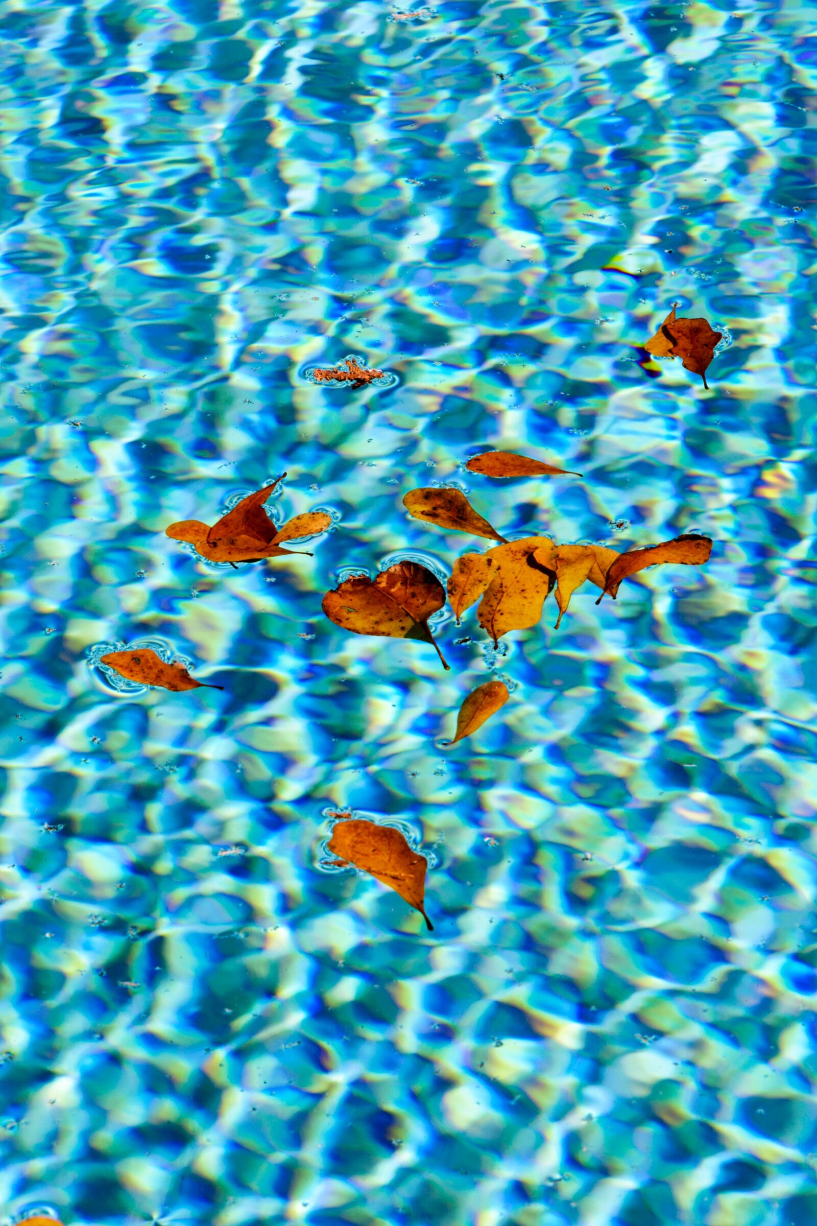Canon EOS 350D (EOS Digital Rebel XT / EOS Kiss Digital N) sample photo. Water, pool, sparkle photography
