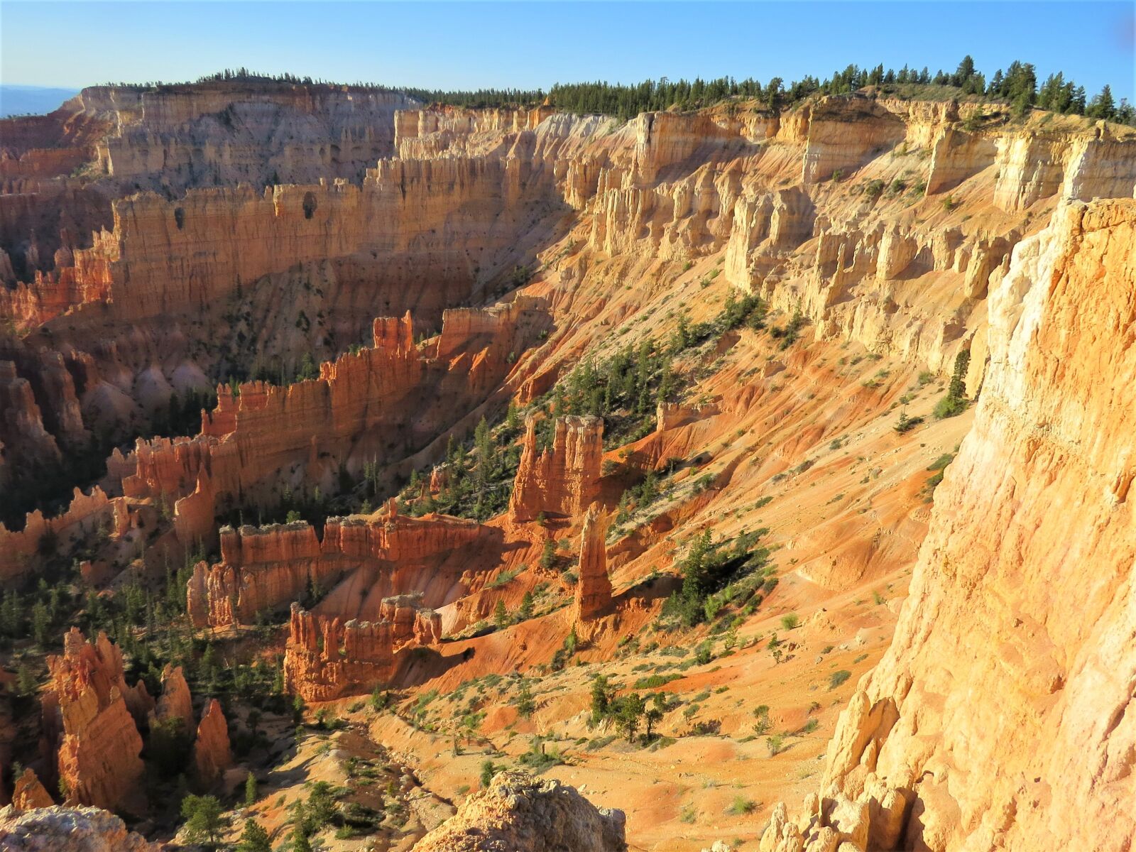 Canon PowerShot SX50 HS sample photo. Bryce canyon, utah, rock photography