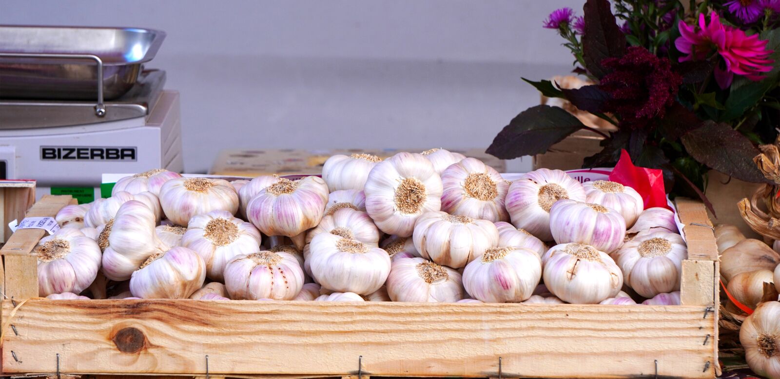 Sony E 55-210mm F4.5-6.3 OSS sample photo. Garlic, fresh, harvest photography