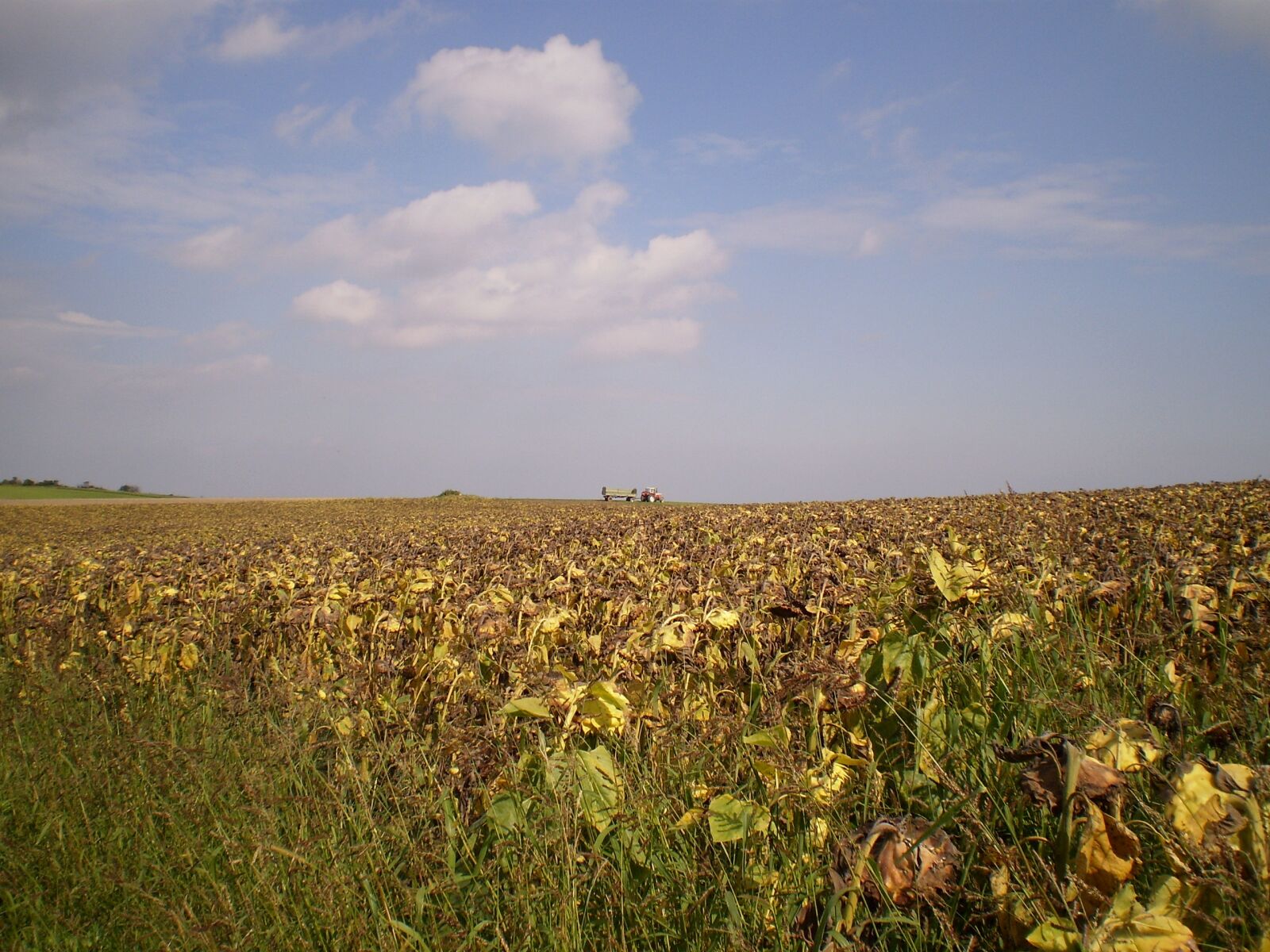 Olympus FE20,X15,C25 sample photo. Harvest, autumn, tractor photography