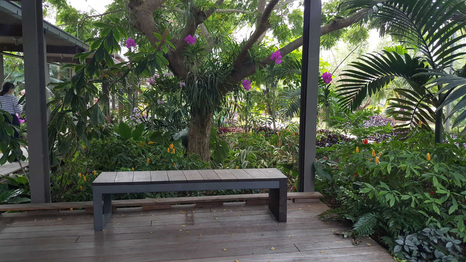 Samsung GALAXY S6 edge sample photo. Botanical, gardens photography