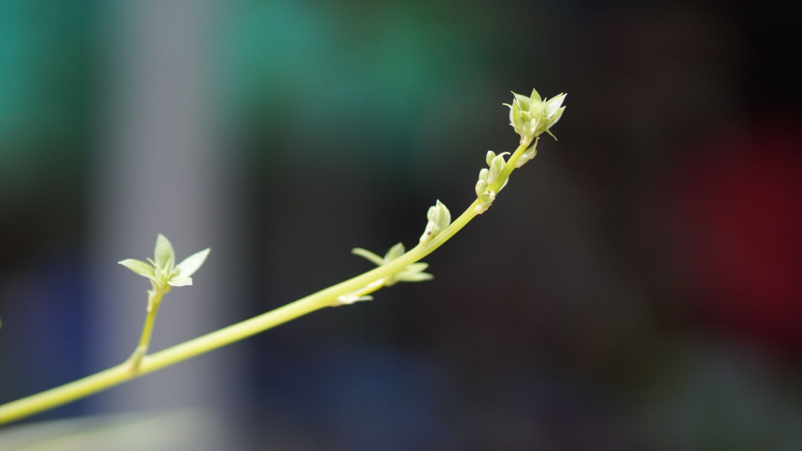 Sony ZV-E10 sample photo