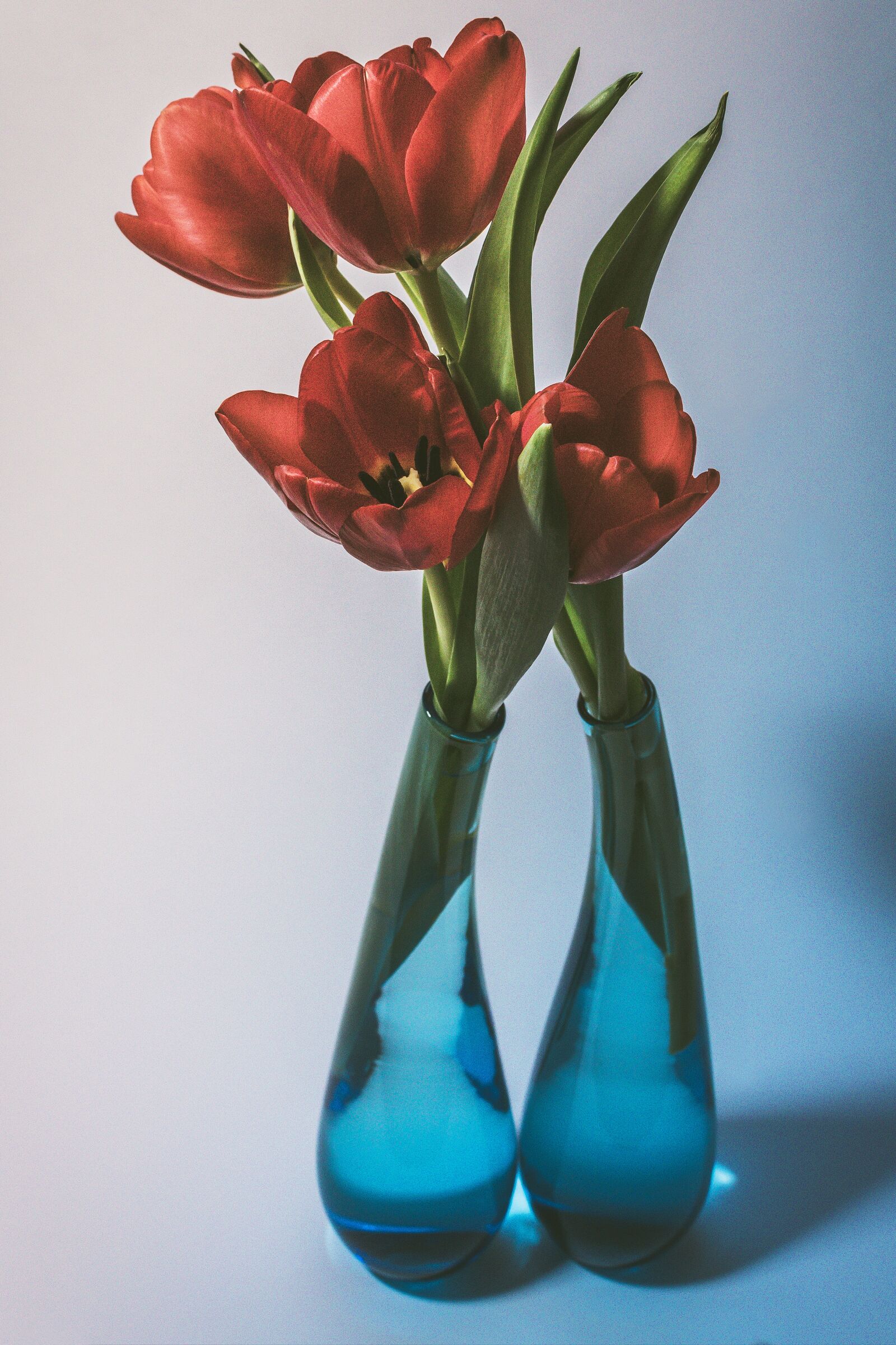 Canon EOS 1300D (EOS Rebel T6 / EOS Kiss X80) sample photo. Tulip, tulip bouquet, glass photography